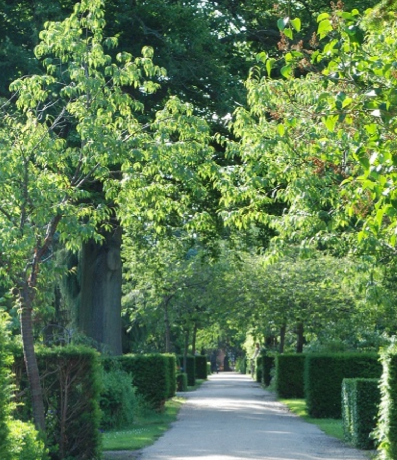 Test af legekultur.dk